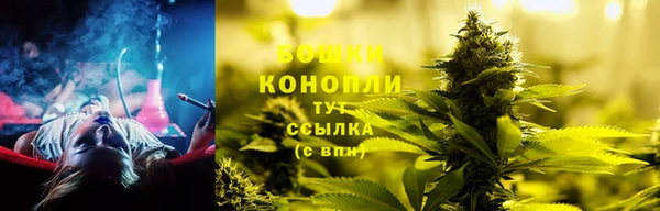 PSILOCYBIN Балабаново