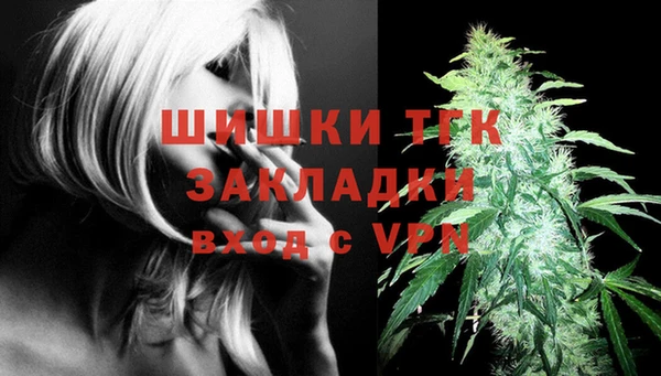 PSILOCYBIN Балабаново