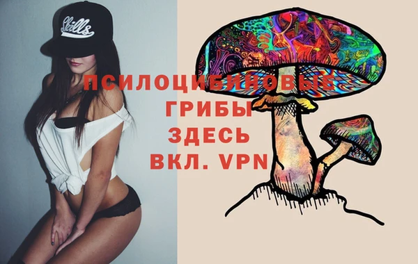 прущие крисы Саяногорск