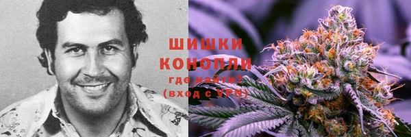 PSILOCYBIN Балабаново