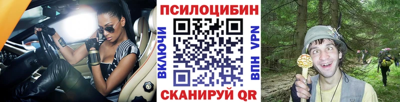 гидра сайт  закладки  Черноголовка  Псилоцибиновые грибы мицелий 